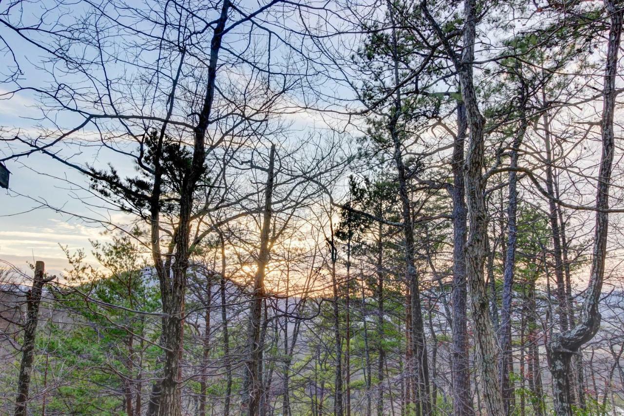 Misty View Cabin Hatchertown Екстериор снимка