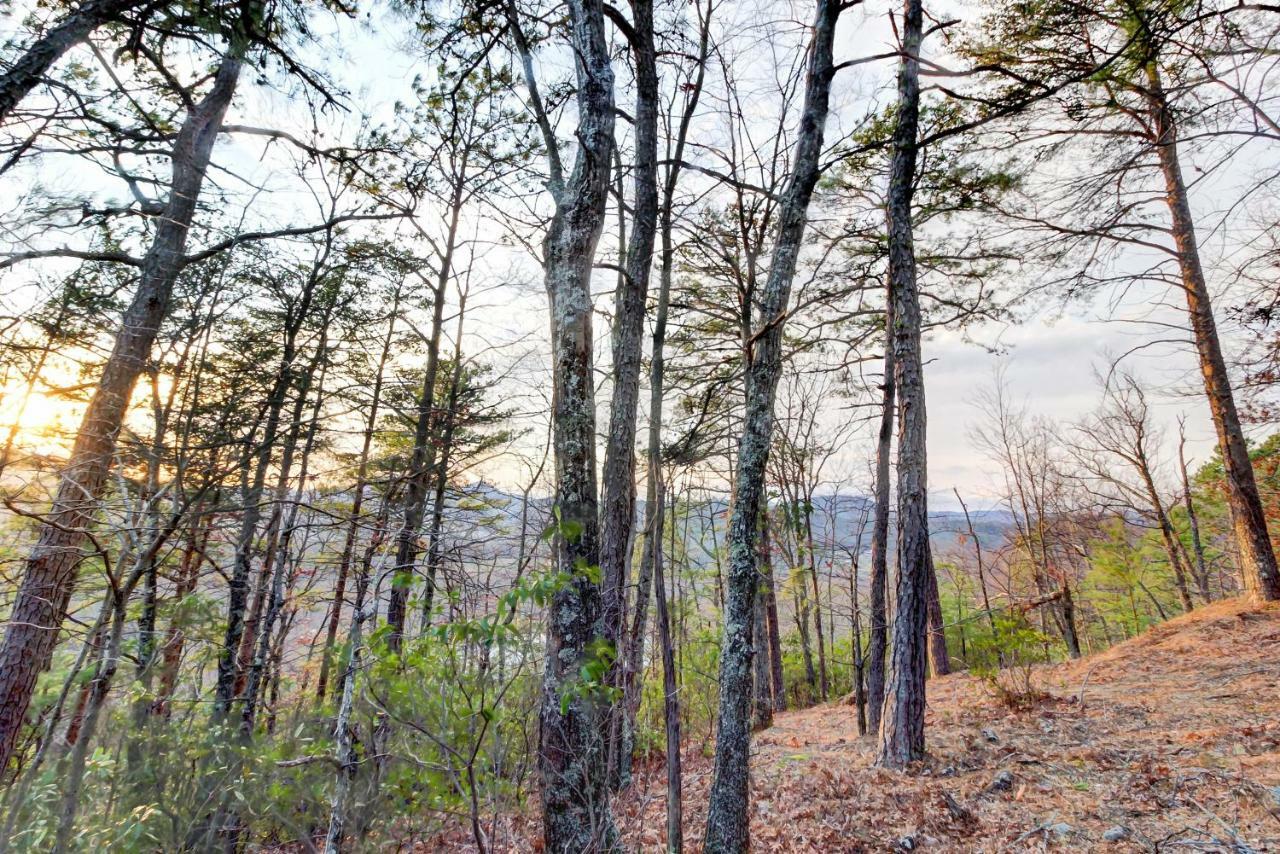 Misty View Cabin Hatchertown Екстериор снимка